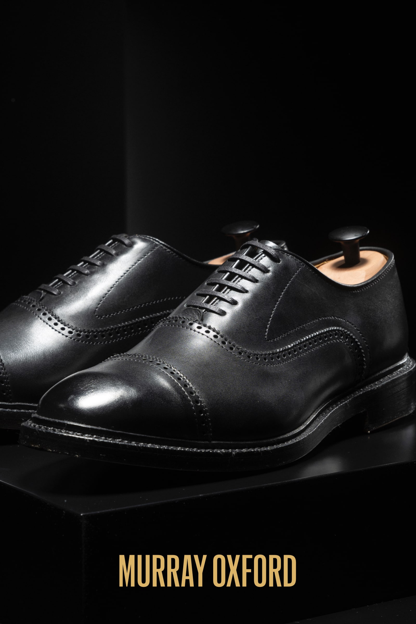 Exclusive Offers Promo Codes discounts Allen Edmonds